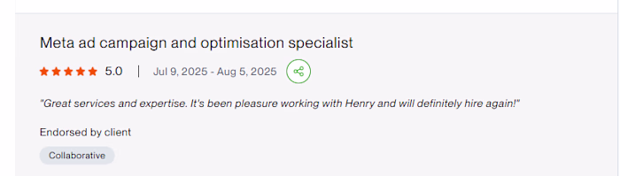 Meta Ads Project Client Feedback