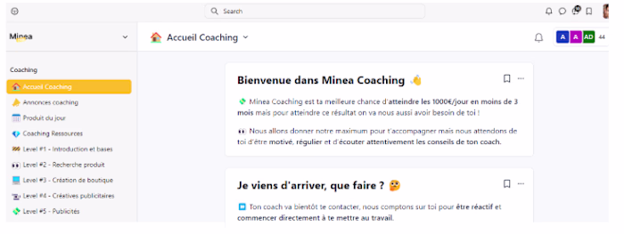 Dropshipping Coaching and Mentorship