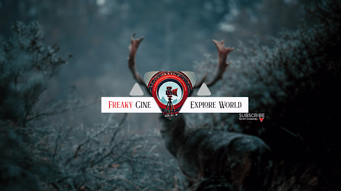 Youtube Cover