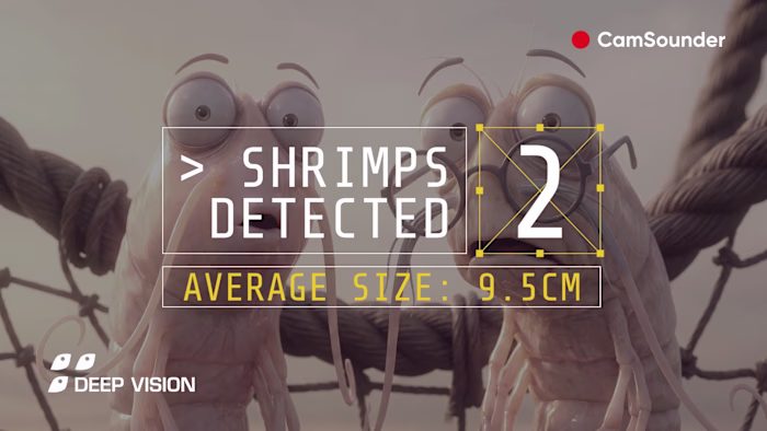 Animated short film for CamSounder — Scantrol Deep Vision