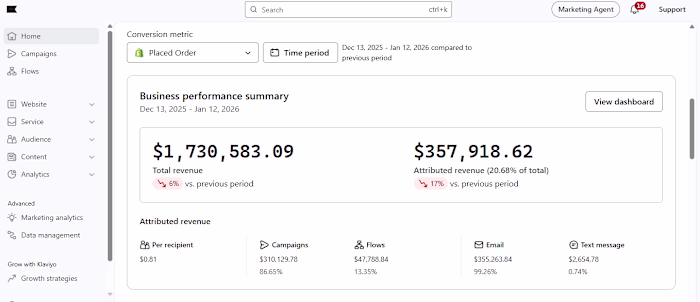 Klaviyo Total Revenue Business Performance