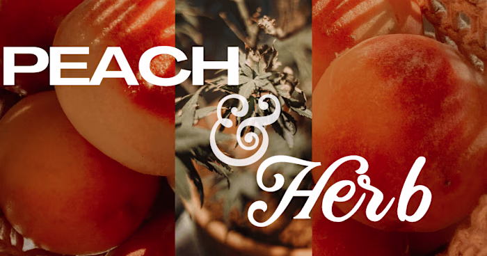 BRAND CONCEPT PEACH & HERB CBD CHEF & CATERING COMPANY
