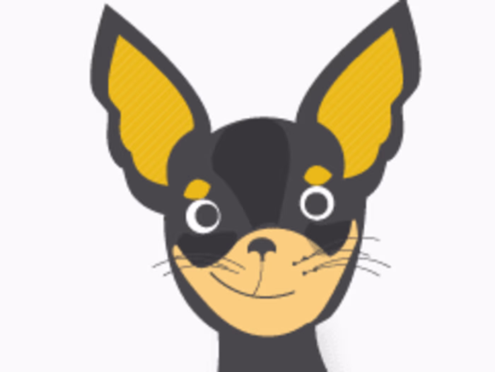 Character Design 