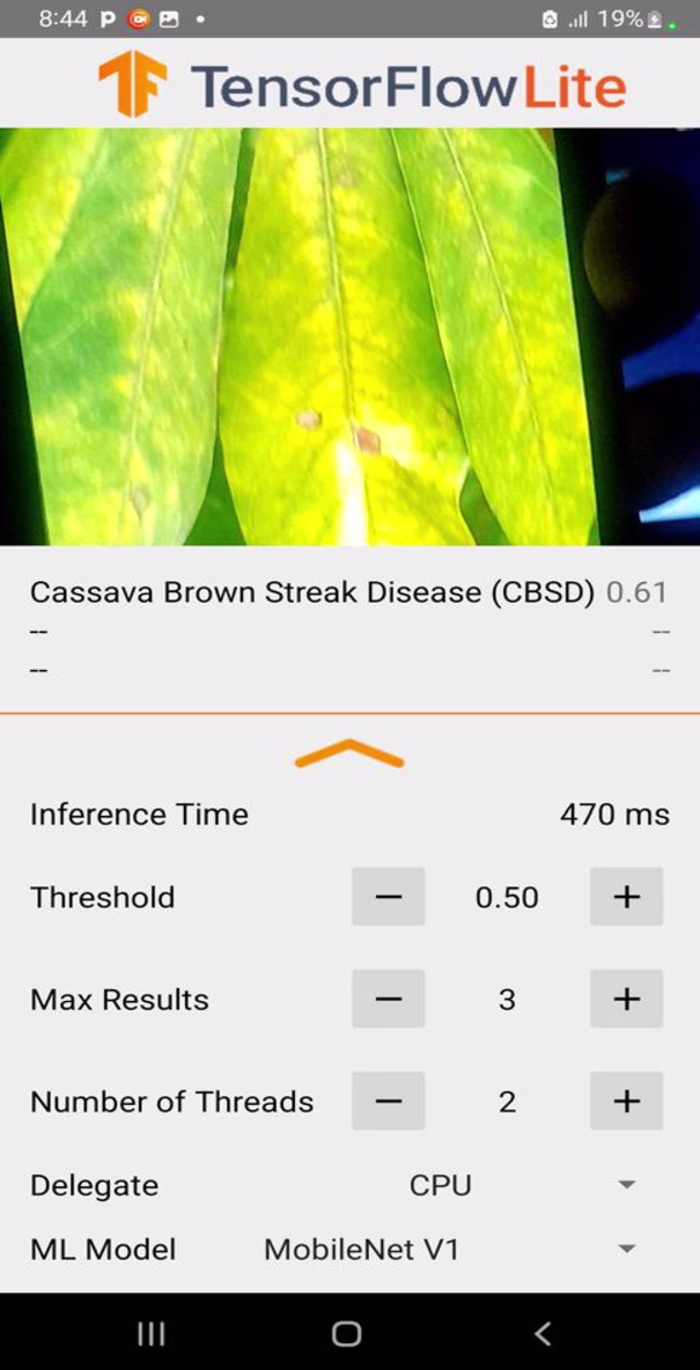 Cassava Leaf Disease Detection