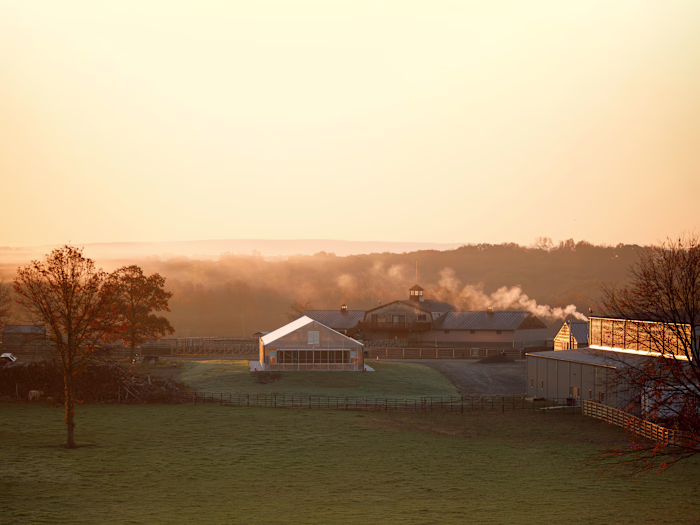 FARMHOOD FIELDS — LEXI
