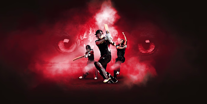 Leicestershire County Cricket Club Branding