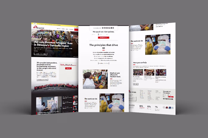 Ngo Website | Wordpress Website
