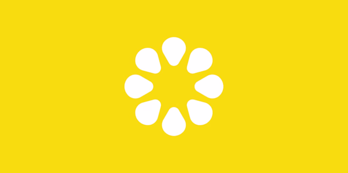 Salstem Brand Name, Logo & Identity Design