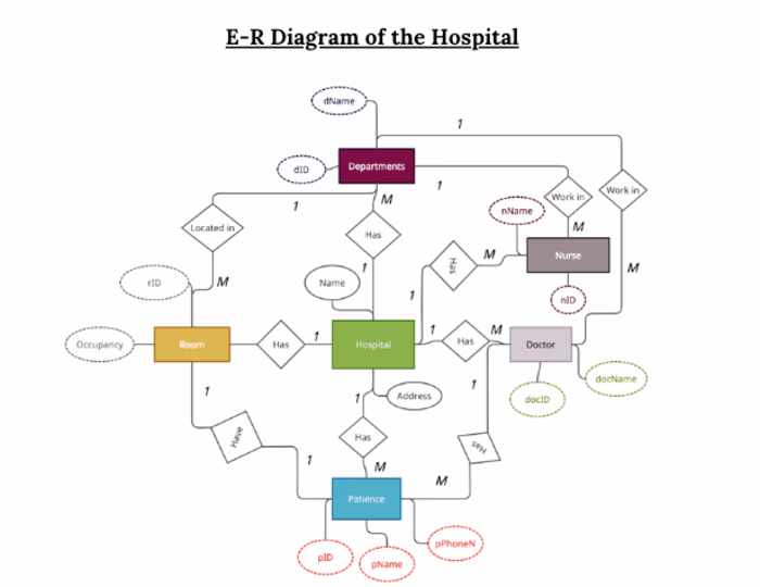 Data Analysis and Conversion 
