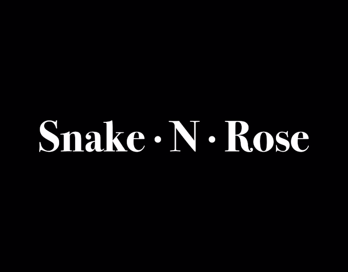 Snake. N. Rose | Cover Album Artwork
