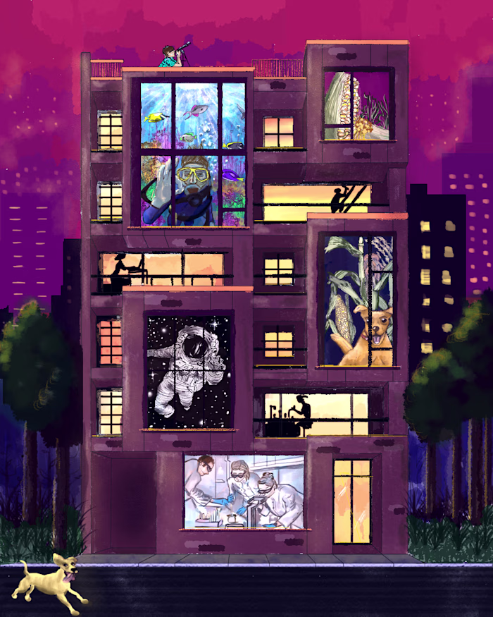 Window Stories Illustration