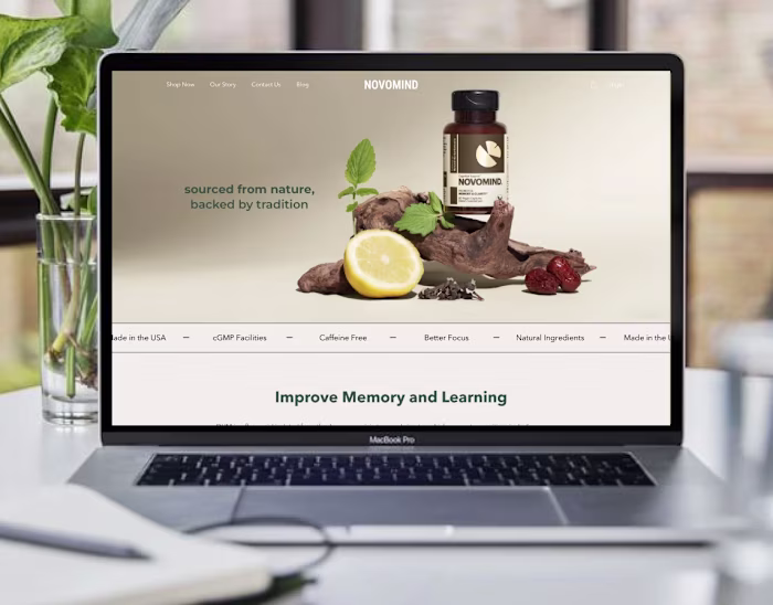 Novomind - Website Design and Development