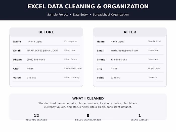 Excel Data Cleaning & Organization