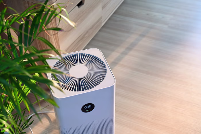 Best Humidifier for Wood Floors