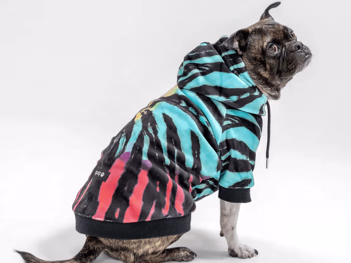 Design and Development of BarknPup Shopify Store
