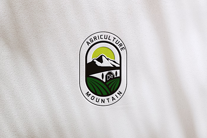 logo design