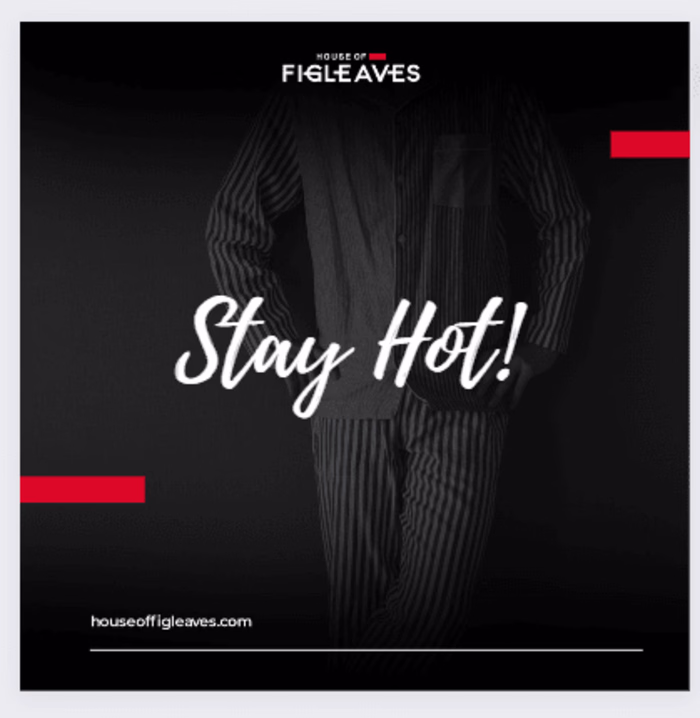 SOCIAL MEDIA COPY- THE HOUSE OF FIGLEAVES