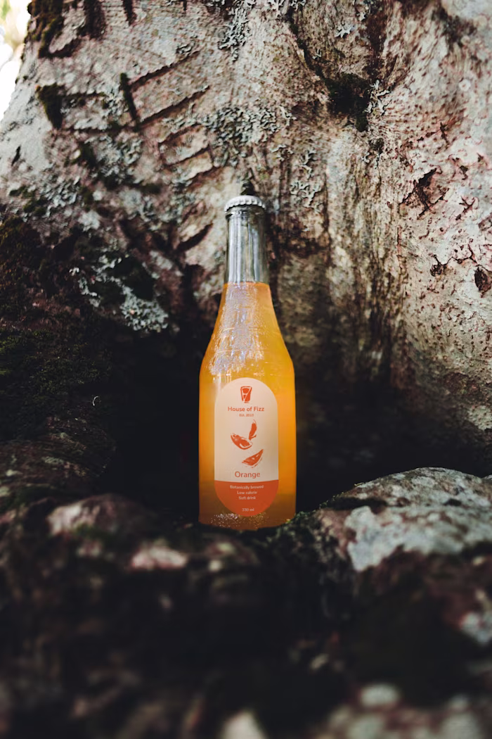 House of Fizz, soft drink brand identity and packaging