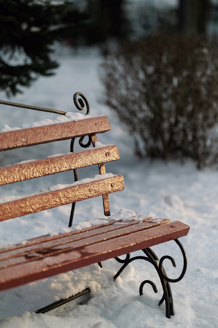 Memoir Ghostwriter: The Christmas Bench Miracle