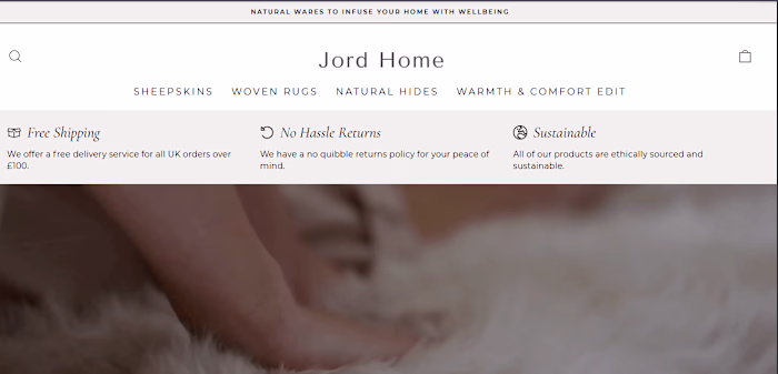 Shopify Store Design