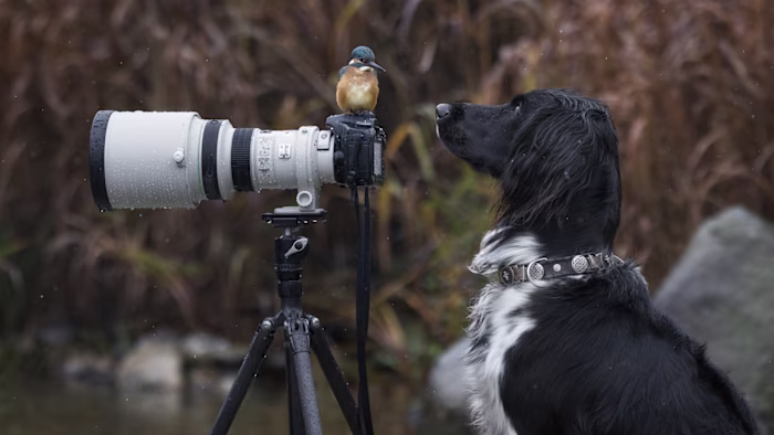 Authoritative Editorial for Outdoor Guide