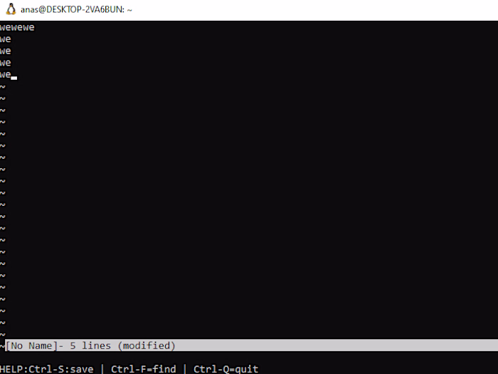 Text Editor in WSL