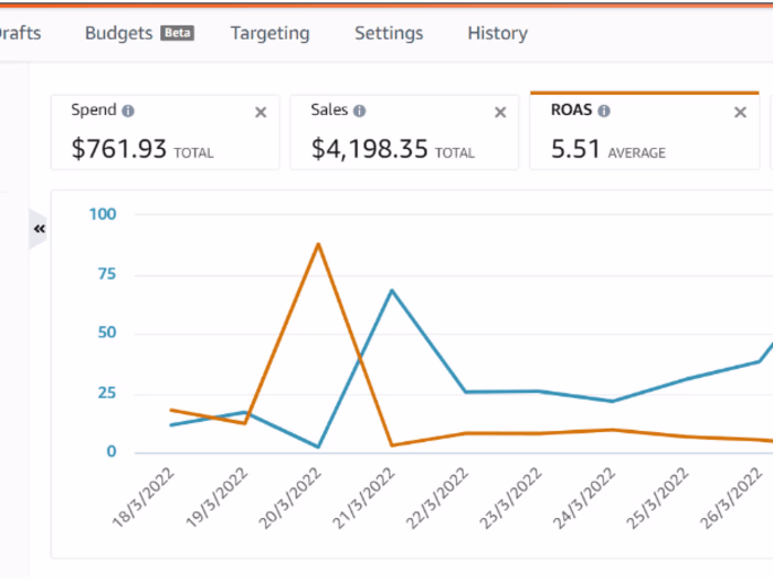 Amazon PPC Campaign