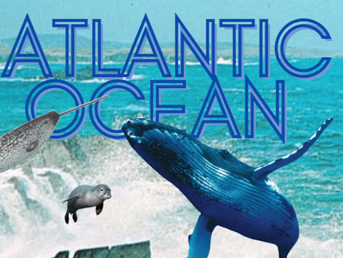 Atlantic Ocean Poster For Zoo