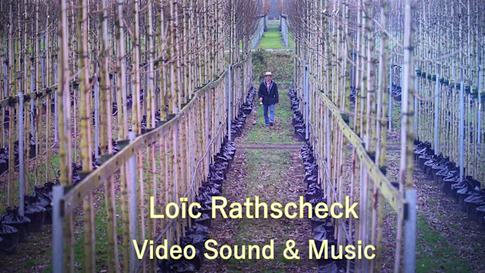 Video / Music / Sound