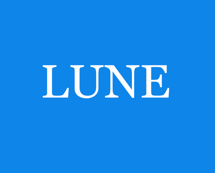 Premium Skincare Brand Identity Design for LUNE