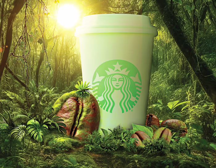 coffee in the jungle