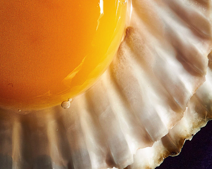 Glamorous Eggs
