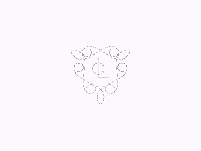 Lu Castrejón Micropuntura Branding