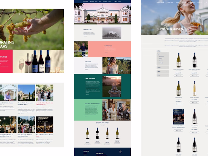 : Developed the website by