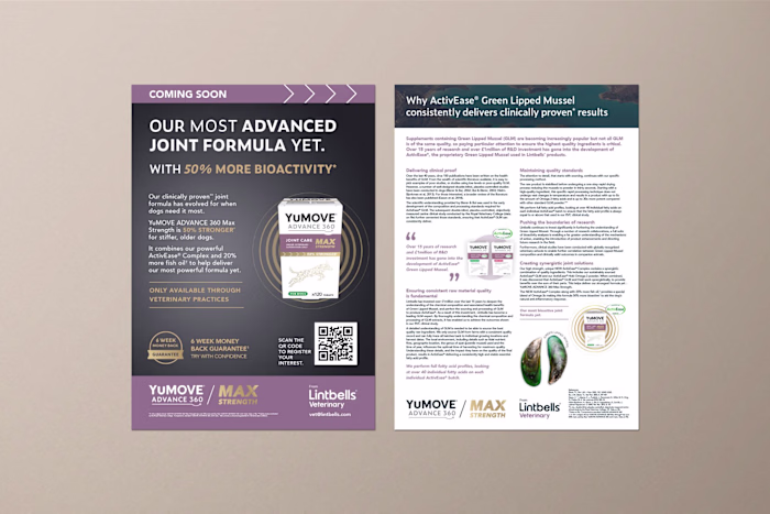 Content for new product campaign
