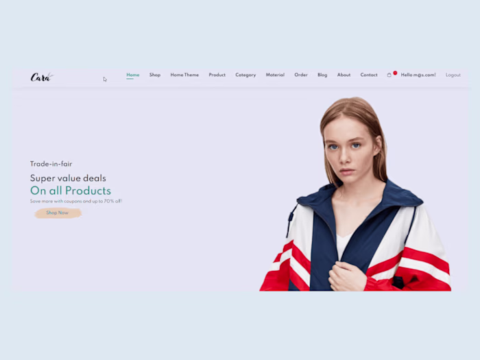 E-commerce store