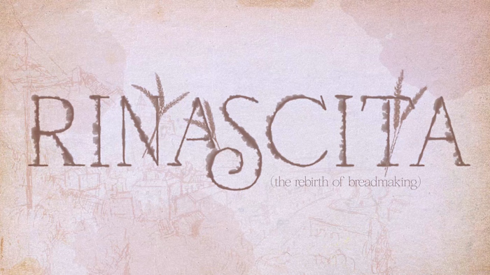 Rinascita | Documentary Design & Animation