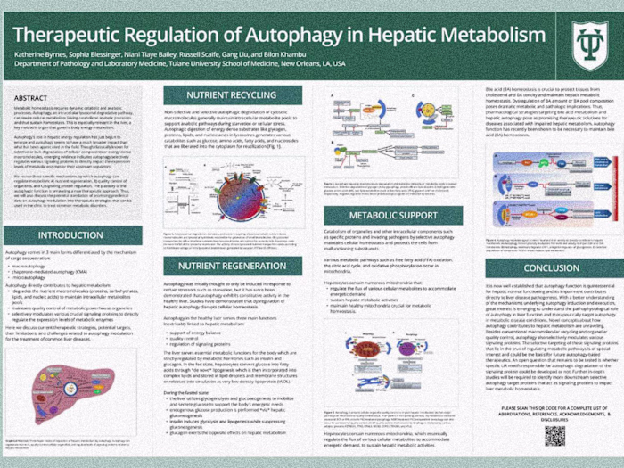 Academic or Medical Research Poster Design (PowerPoint)
