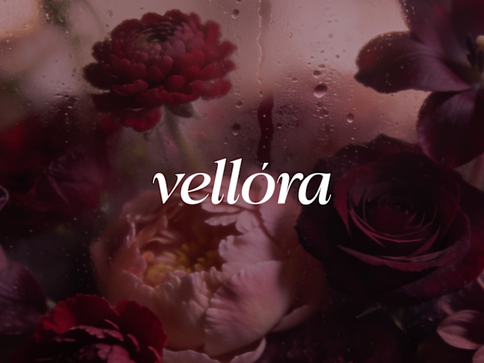 Brand Identity Design for VELLORA