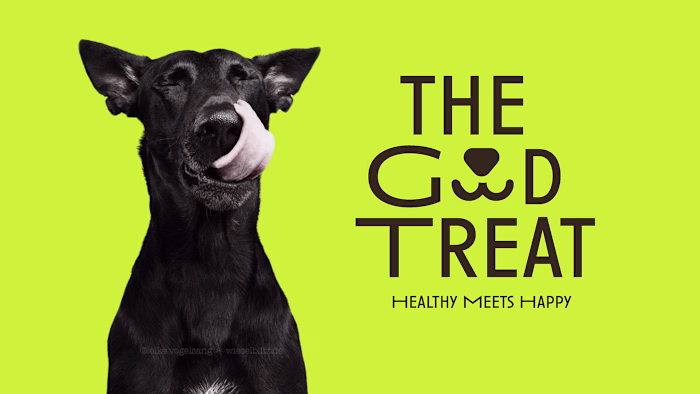 Brand Identity and Packaging Design for The Good Treat