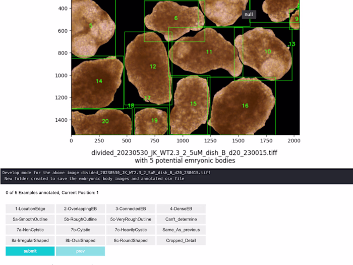 An interactive image annotation pipeline