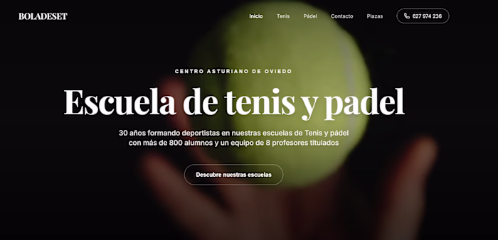 Website design and development for