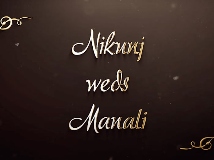 Wedding Highlights