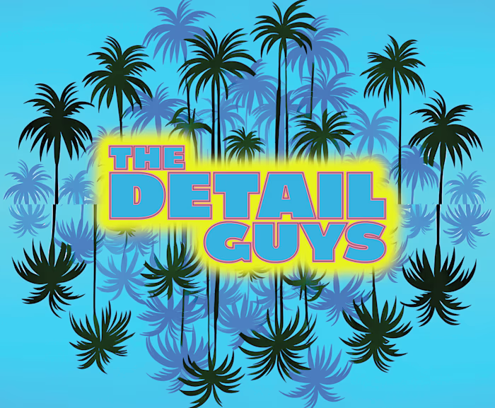 Logo & shirt design for The Detail Guys