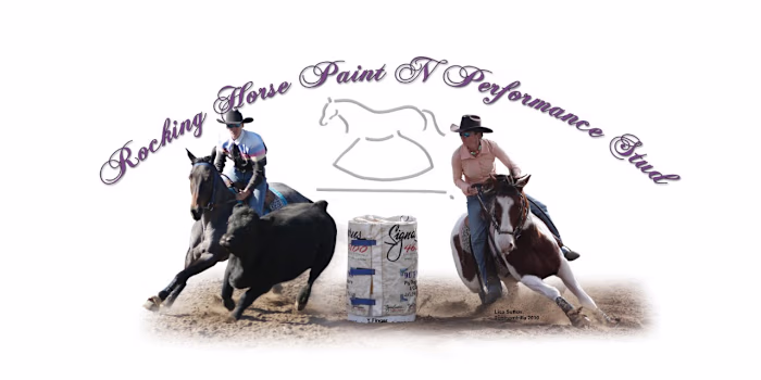 Equine Clinician | Horsemanship with Lisa Sutton