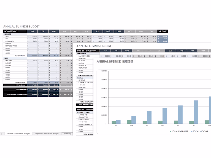 Financial Strategy: Large & Small
