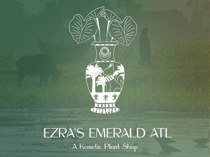 Ezra's Emerald ATL | Illustrative Brand Design