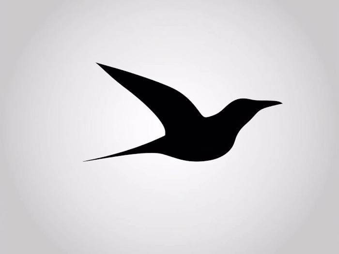 
Soaring Minimalism