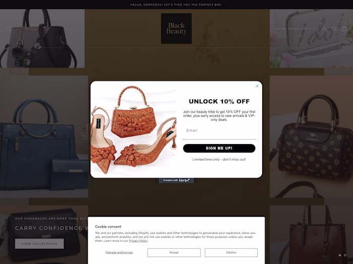 Shopify Bag Store – Design & Development