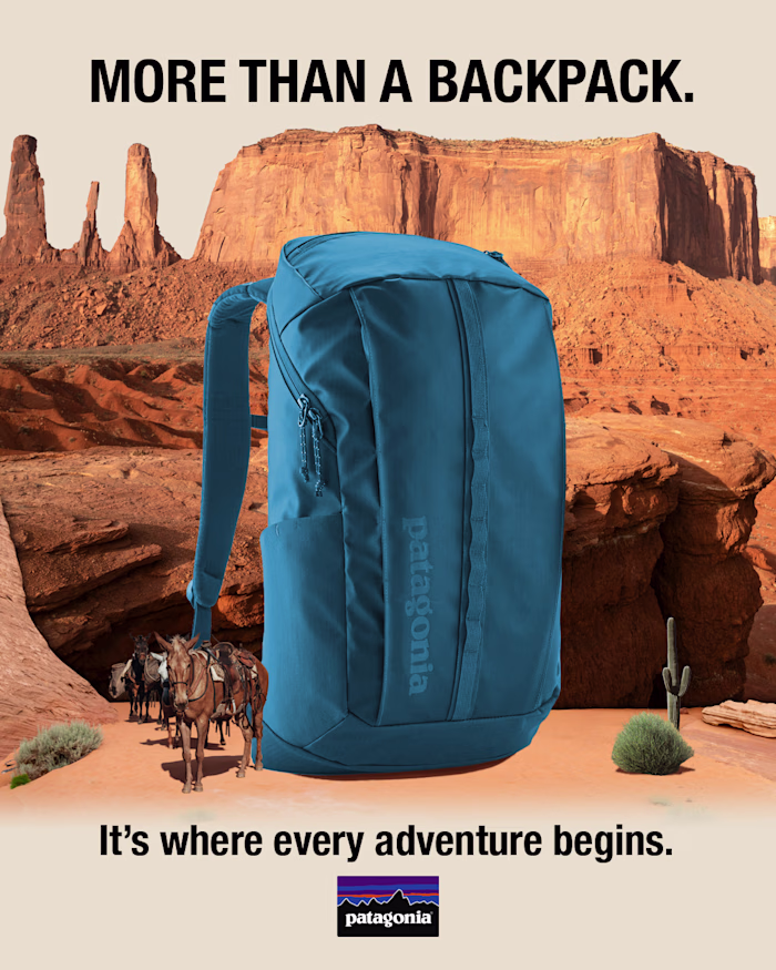 Patagonia | Integrated Digital Campaign Concept